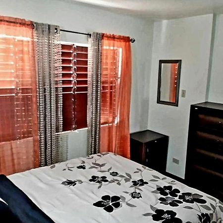 The Mango Lodge كينغستون المظهر الخارجي الصورة