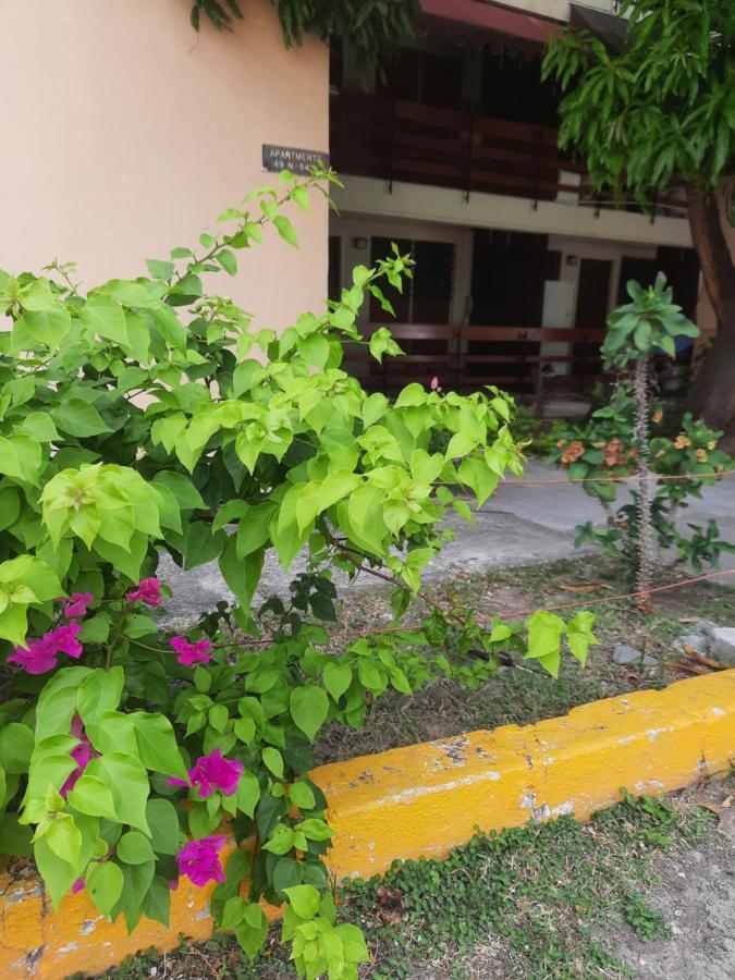 The Mango Lodge كينغستون المظهر الخارجي الصورة