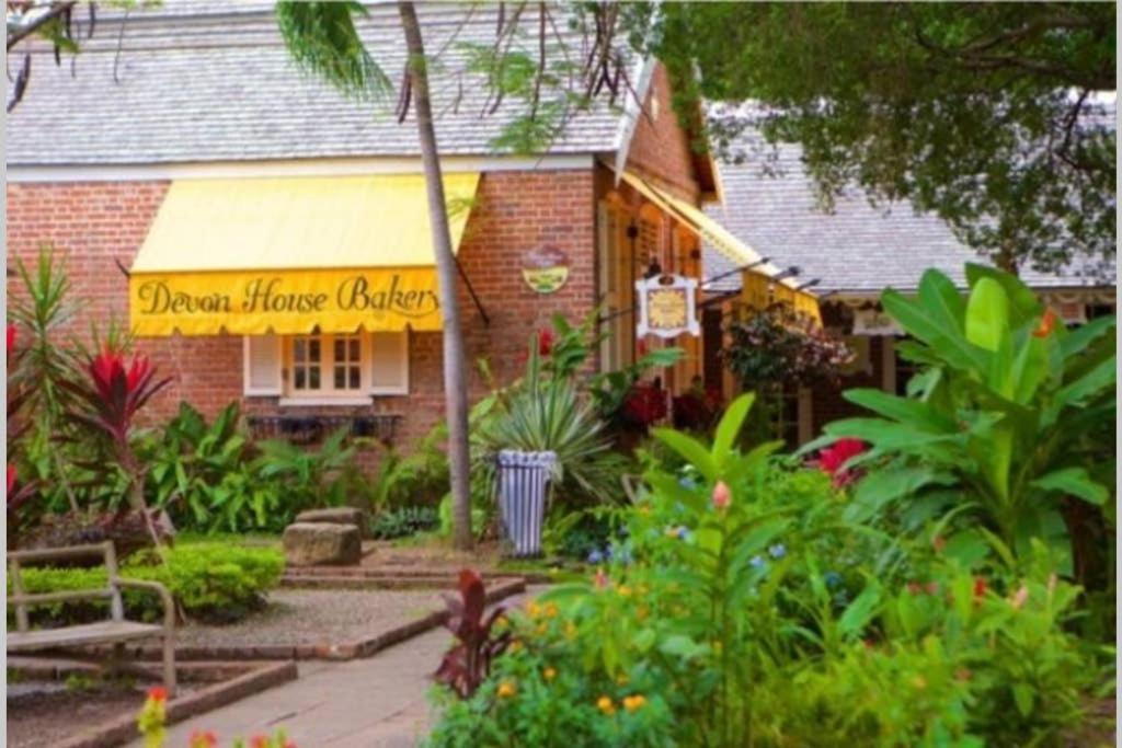 The Mango Lodge كينغستون المظهر الخارجي الصورة
